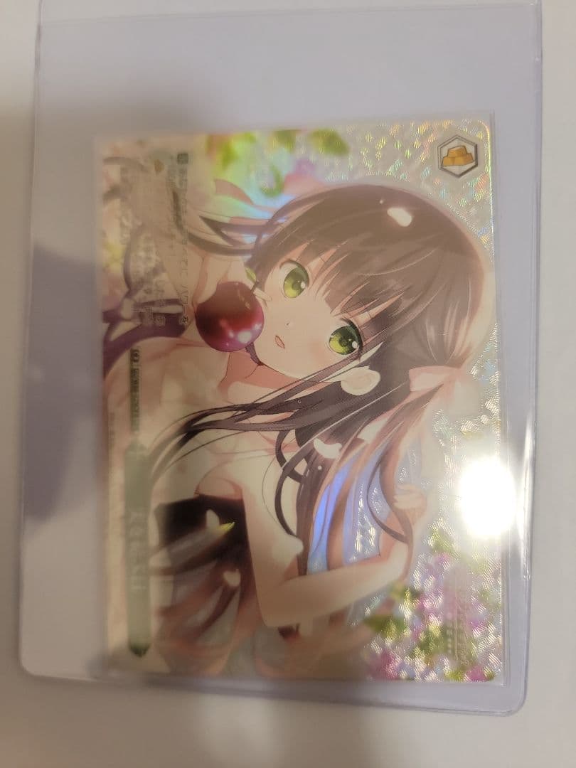 ヴァイスシュヴァルツ　実を結ぶ日【OFR】