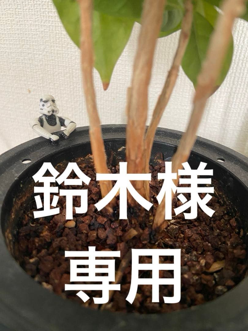 ボール コネクト 21 プロ キッズ 4号球 アディダス adidas (AF430) サッカー