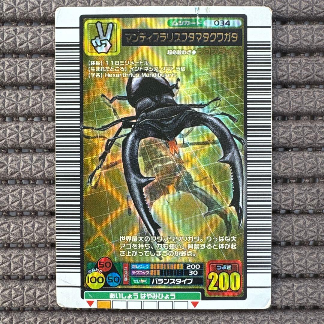 マンディブラリスフタマタクワガタ 2004ファースト拡張 金 ムシキング