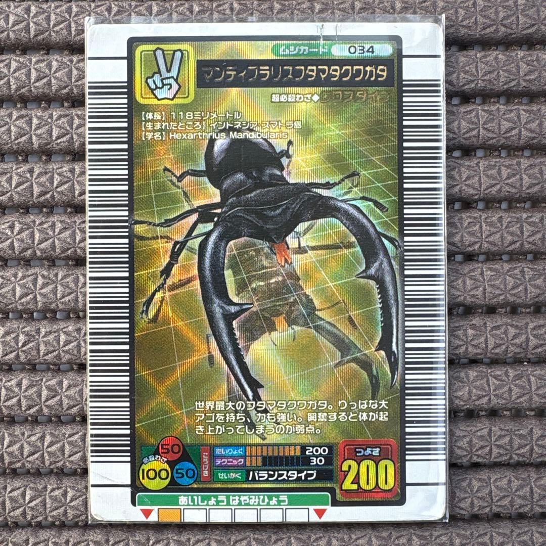 マンディブラリスフタマタクワガタ 2004ファースト拡張 金 ムシキング