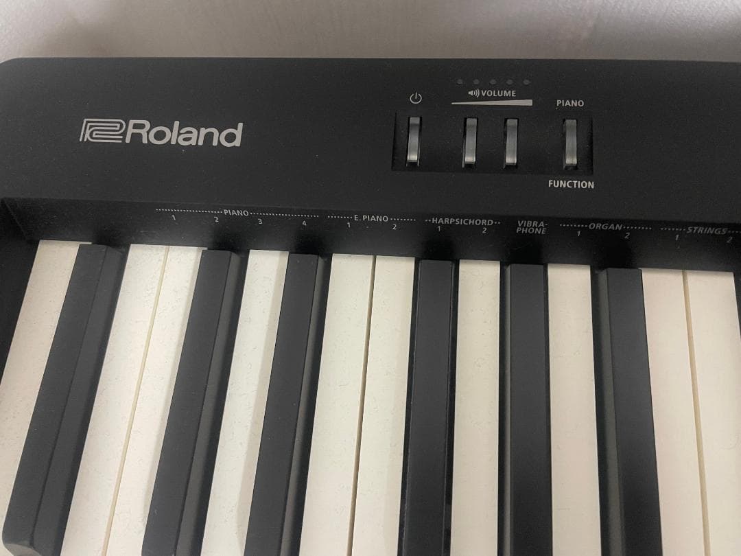 オリジナルホビー・楽器・アート - 2020年式Roland FP-10 ソフトケース