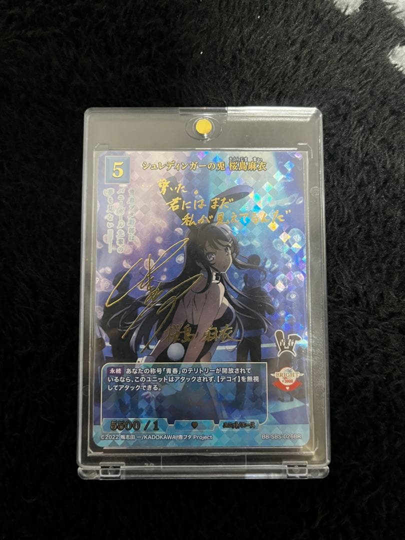 シュレディンガーの 桜島麻衣 - メルカリ