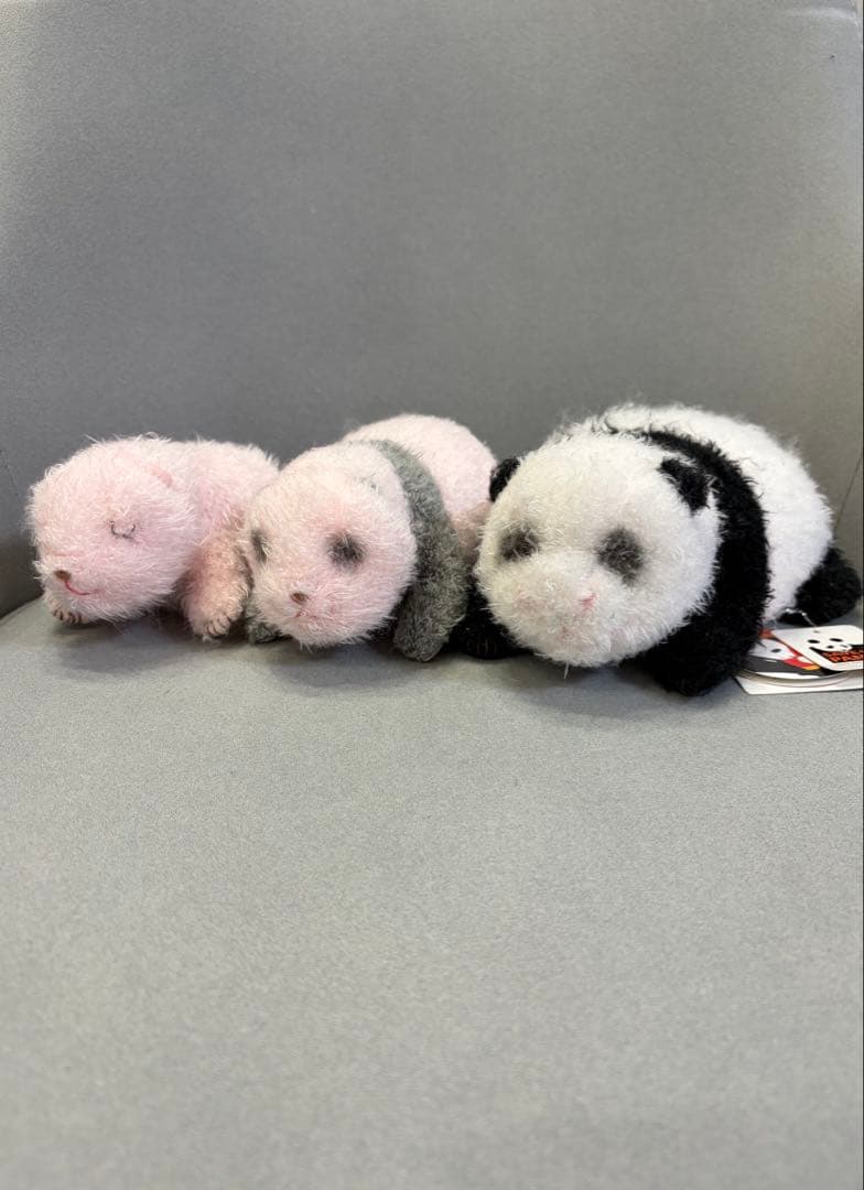 【希少】上野動物園 シャンシャン ほんとの大きさ ぬいぐるみ 3個セット シャンシャン ぬいぐるみ ほんとの大きさパンダの仔 上野動物園 - メルカリ