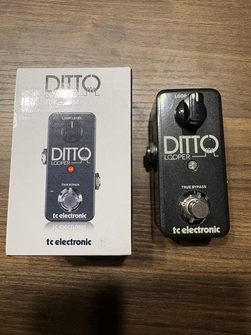 【箱あり】DITTO LOOPER