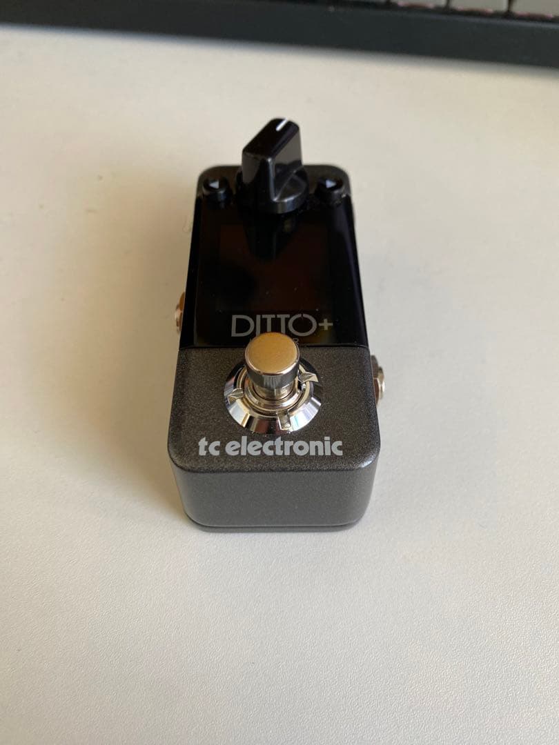 tc electronic DITTO plus + Looper ルーパー