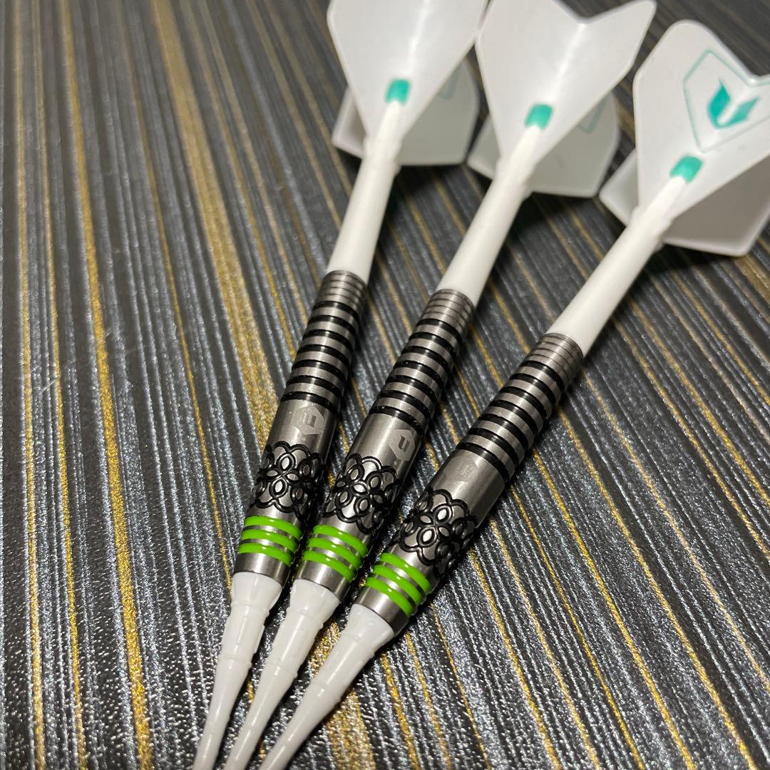 ユニコーン 酒井 素 プロ バーサス 21g