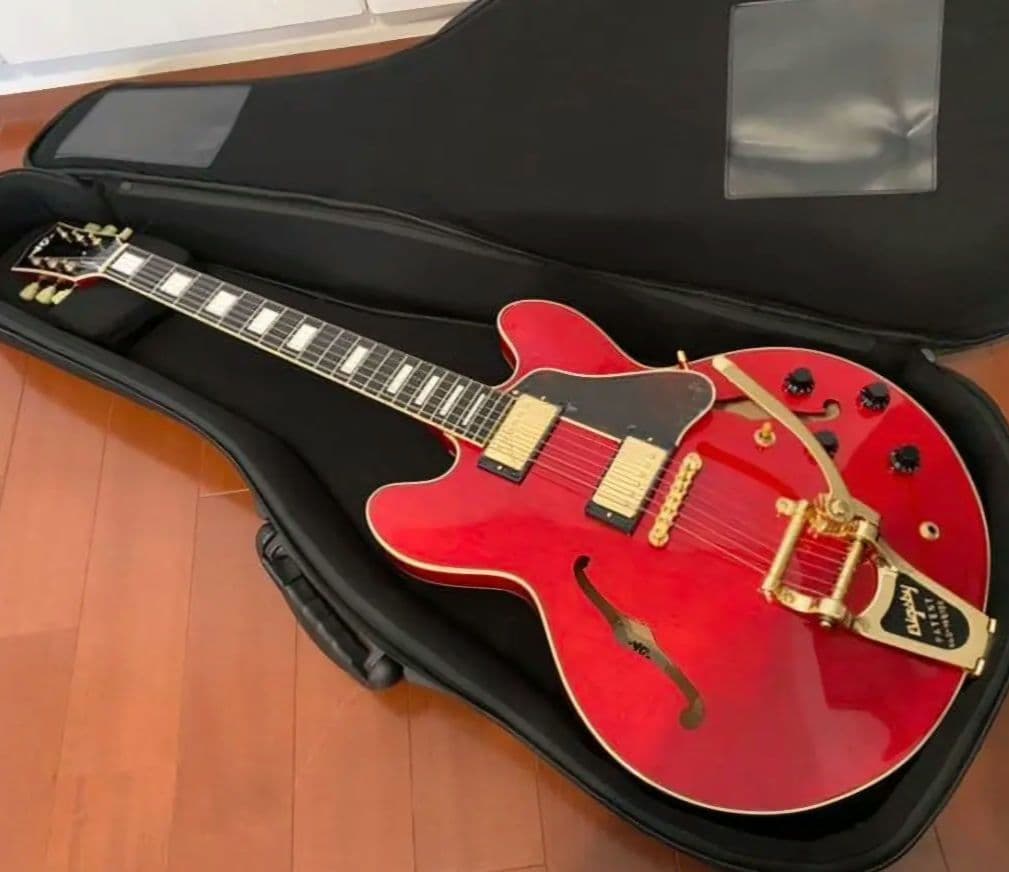 VG KTR-ES CST w/Bigsby セミアコ エレキギター ケース付