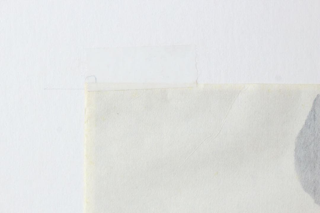 No5302 額装 版画 中国 八大山人 蝉図 水印版画 箱付 唐物 送料無料