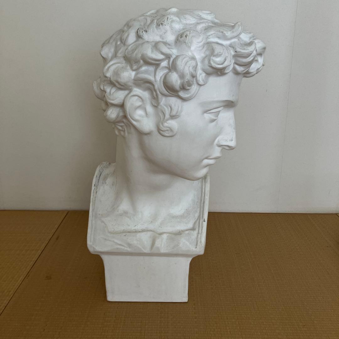 石膏像　メディチ