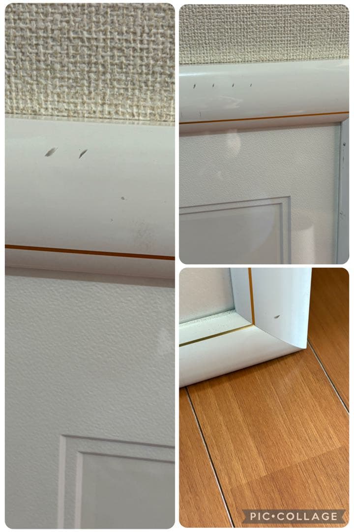 中島潔「トビウオ」レフグラフファイン版画 直筆サイン 管理A3731 証明