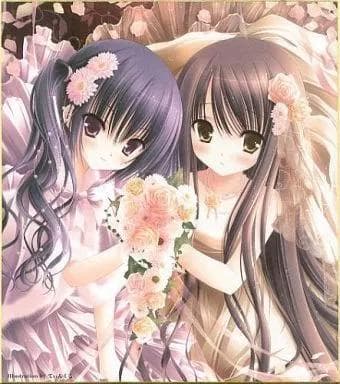 てぃんくる 複製色紙 ラビットnet 新品未開封 ロウきゅーぶ! てぃんかーべる