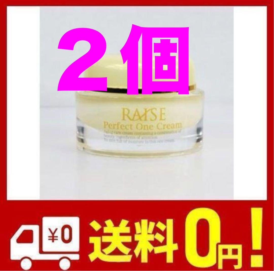 2個  RAISE レイズ パーフェクトワンクリーム オールインワン 美容液