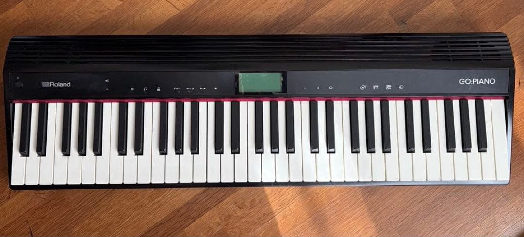 Roland GO:PIANO GO-61P 電子ピアノ キーボード 2018年 GO-61P