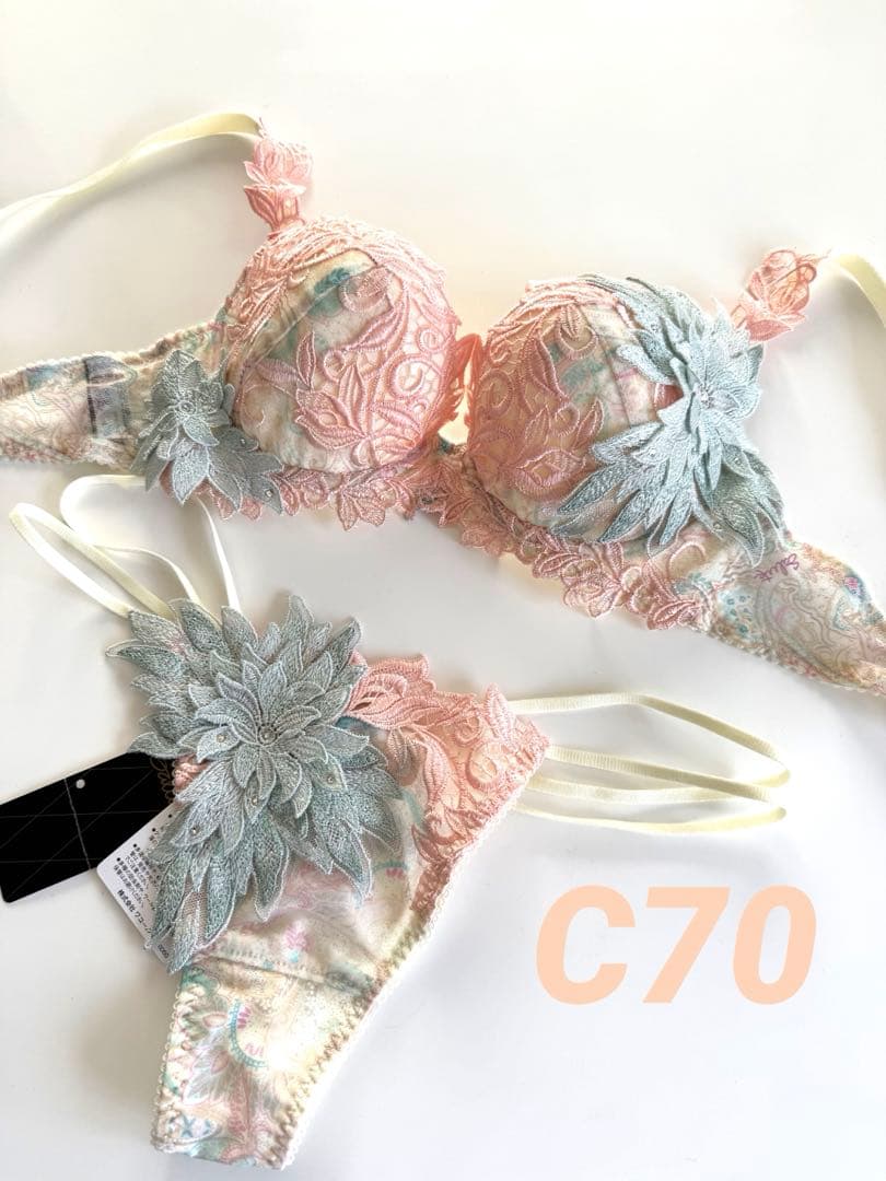 サルート　プレステージ　62G アールデコ　C70 ソング　M IV