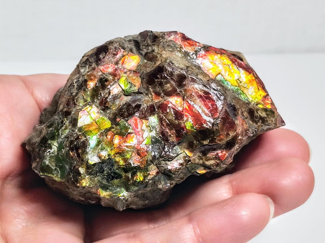 アンモライト 232g 化石 アンモナイト 水晶 鑑賞石 原石 自然石 宝石