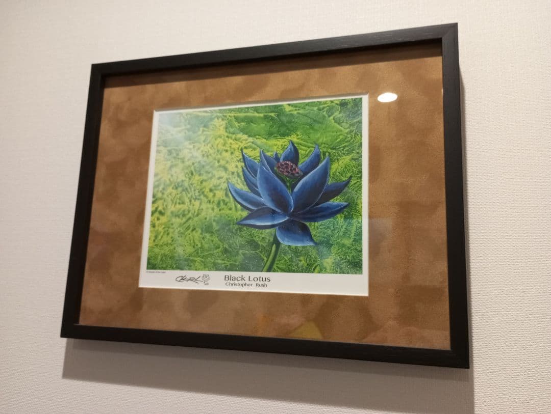 Black Lotus アートプリント 額付き Yahoo!オークション - レア MTG ブラックロータス 額装 アートプリント