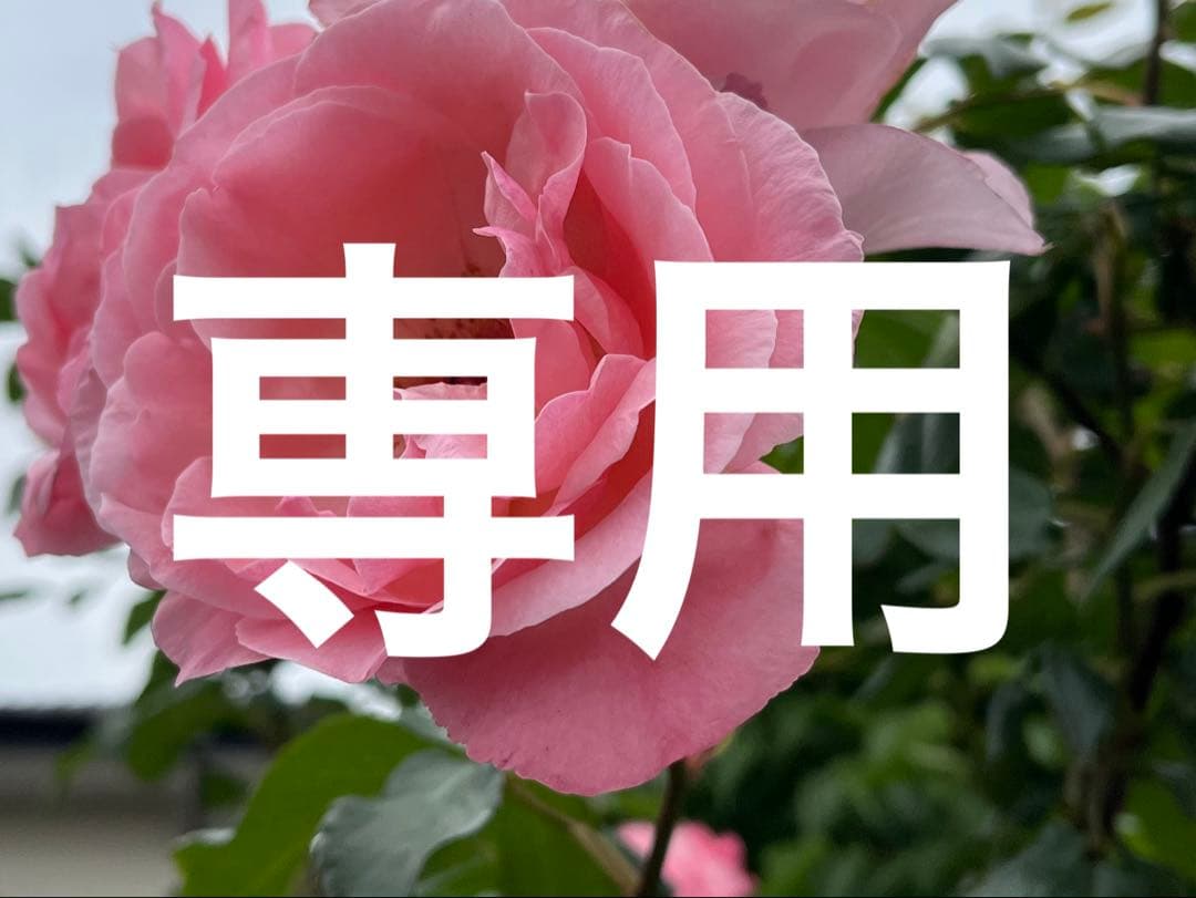 リアボーテ　グランローション1点　クレアプラセンタ1点