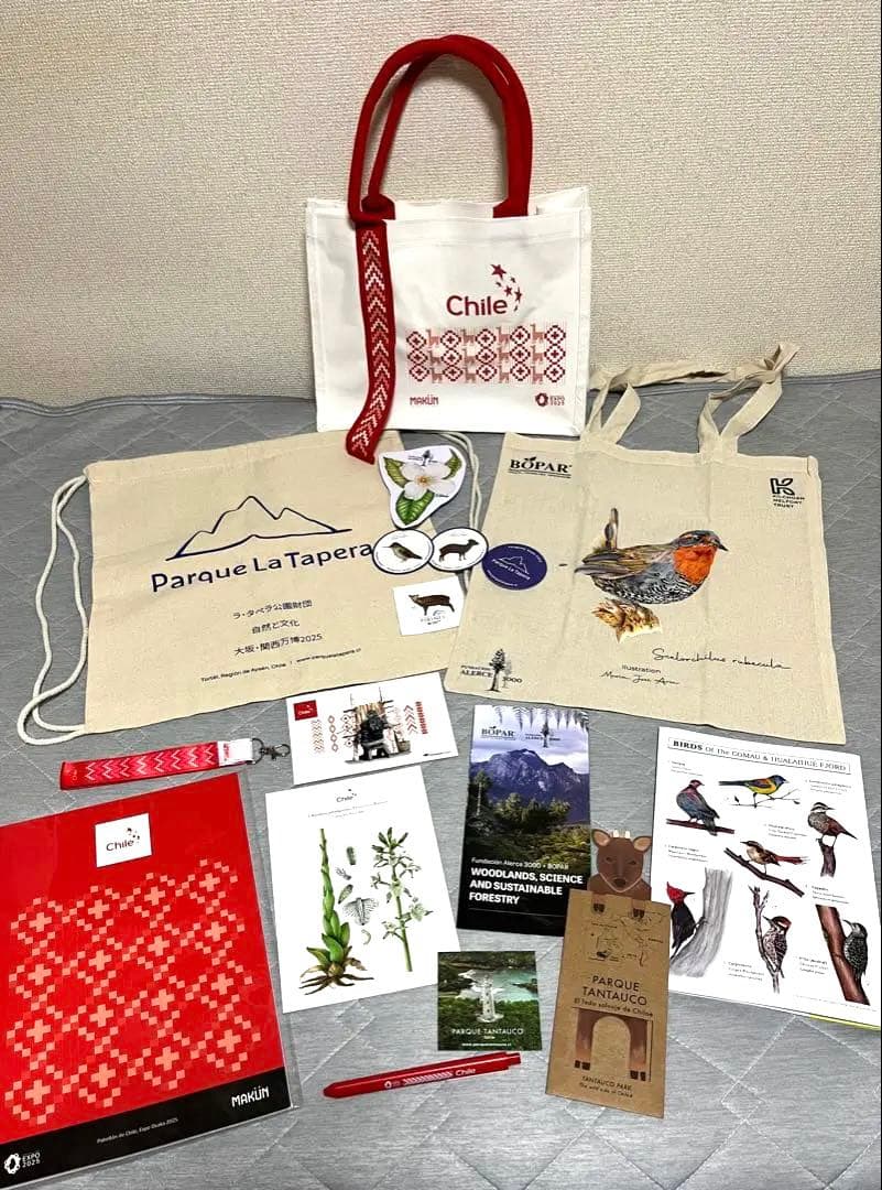 大阪関西万博　チリ　ノベルティセット　トートバッグ　ナップサック　ノート　ペン等