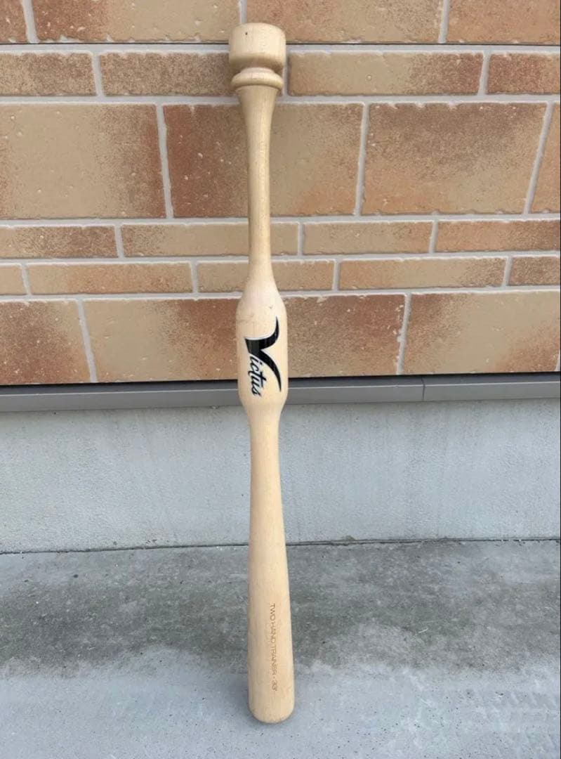 ビクタストレーニングバット33