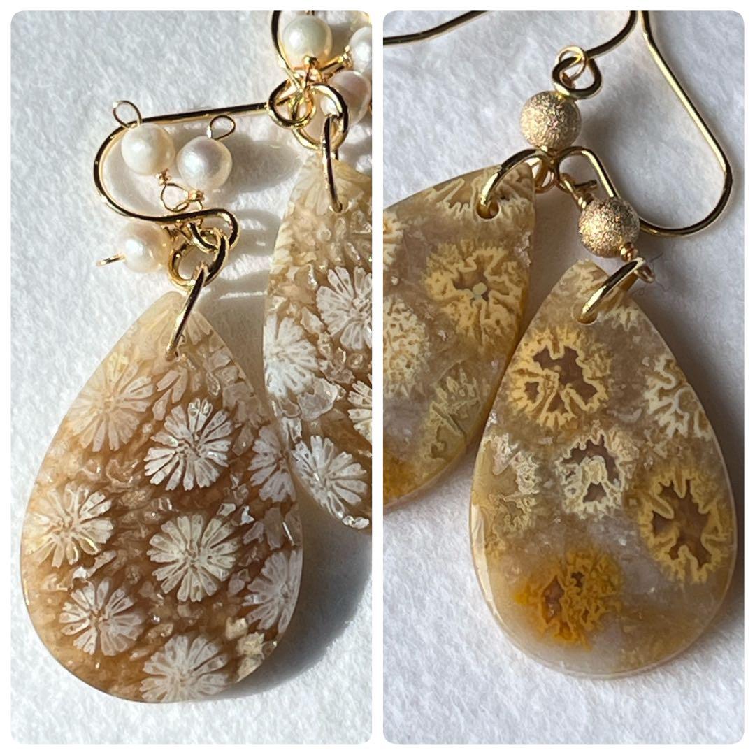 なまけもの　14kgf 透け感綺麗なフォッシルコーラル ピアス