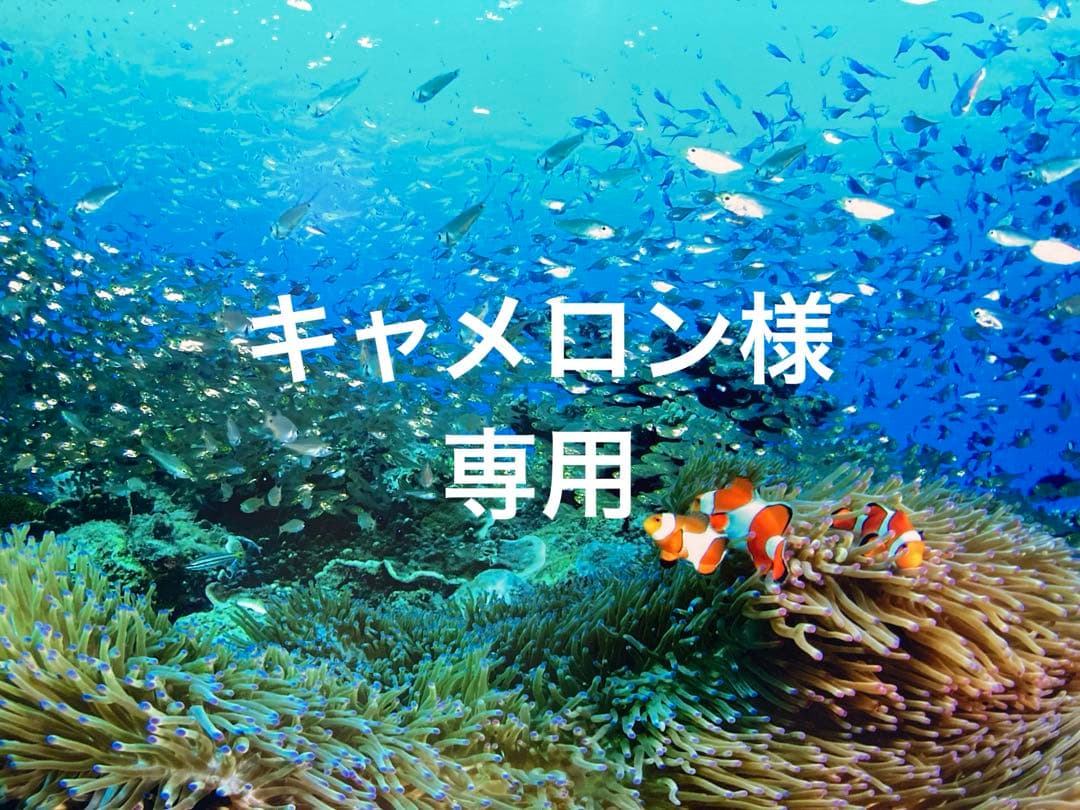 エンビロンラド クレンジングクリーム　ジェル100ml アクアオイル クリーム3