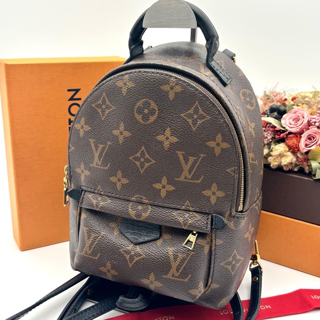 ルイヴィトン パームスプリングス ミニ バックパック リュック M41562