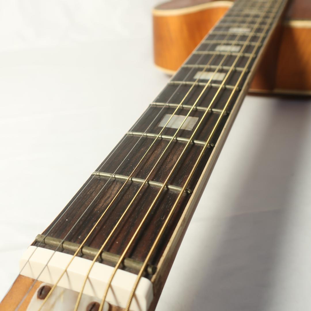 Nardan ナルダン ピックギター ケース付 弦交換済 - メルカリ