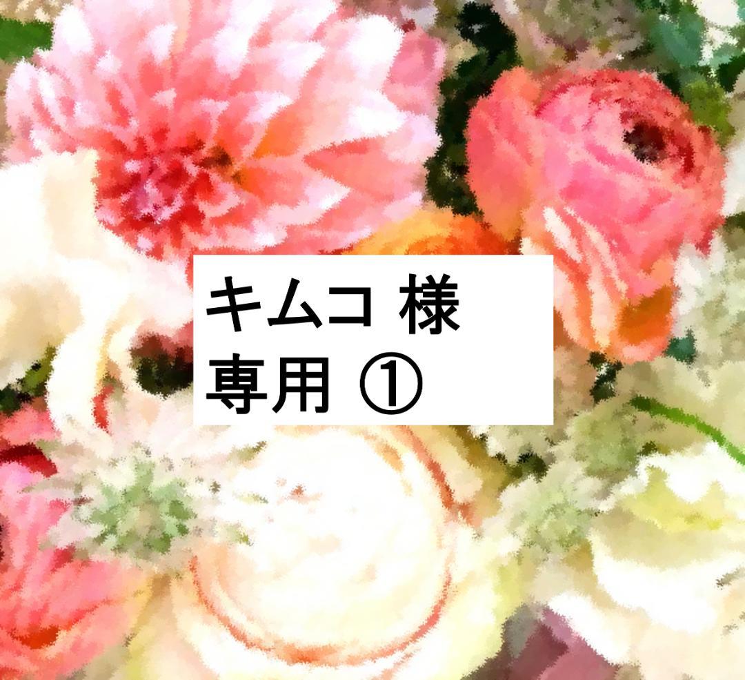 キムコ ① 5％オフ 2023年1月 お手頃 フルセット　DWE 最新版
