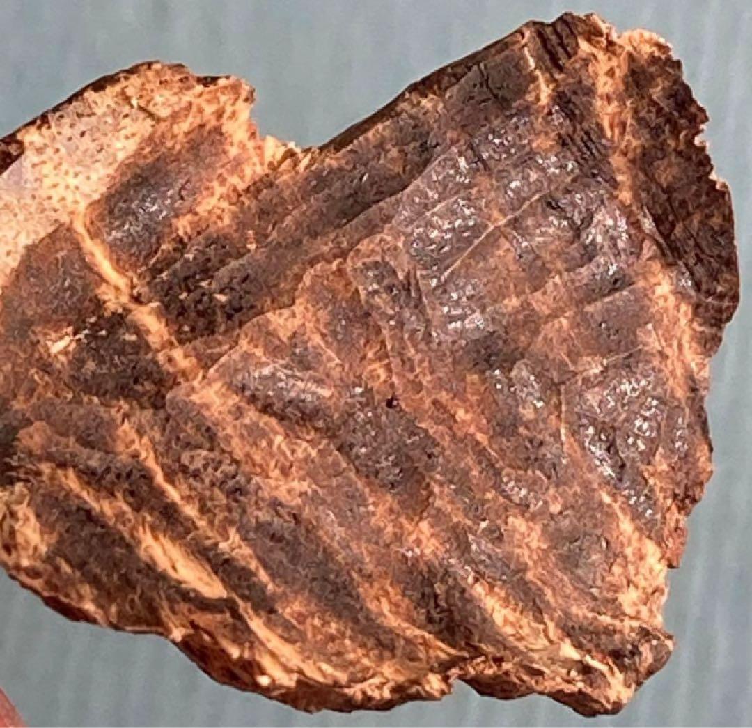 シャム　シャム沈香　沈香　天然沈香　香木 3.58g