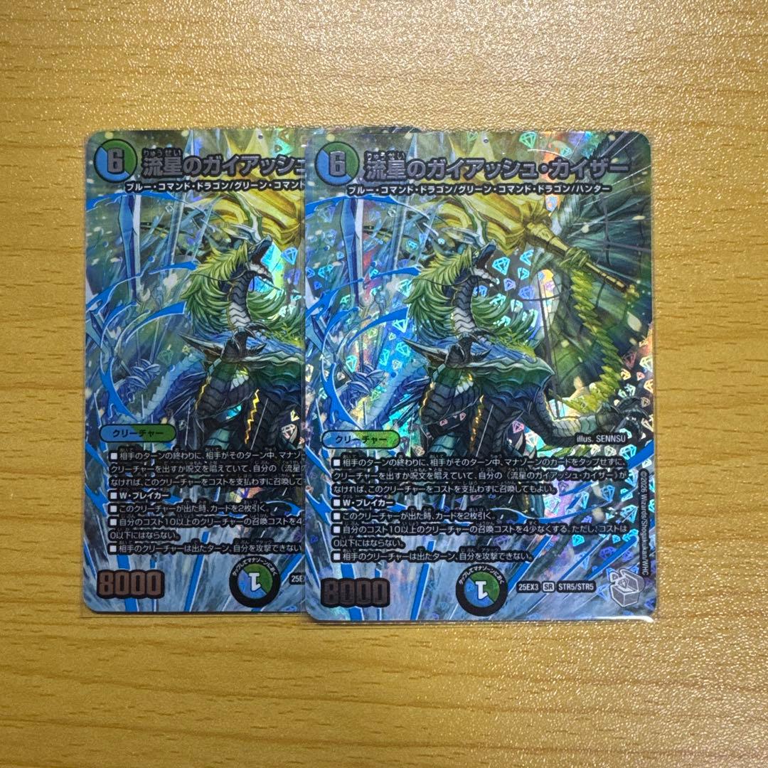 神秘のガイアジャンヌのオジ 2枚セット