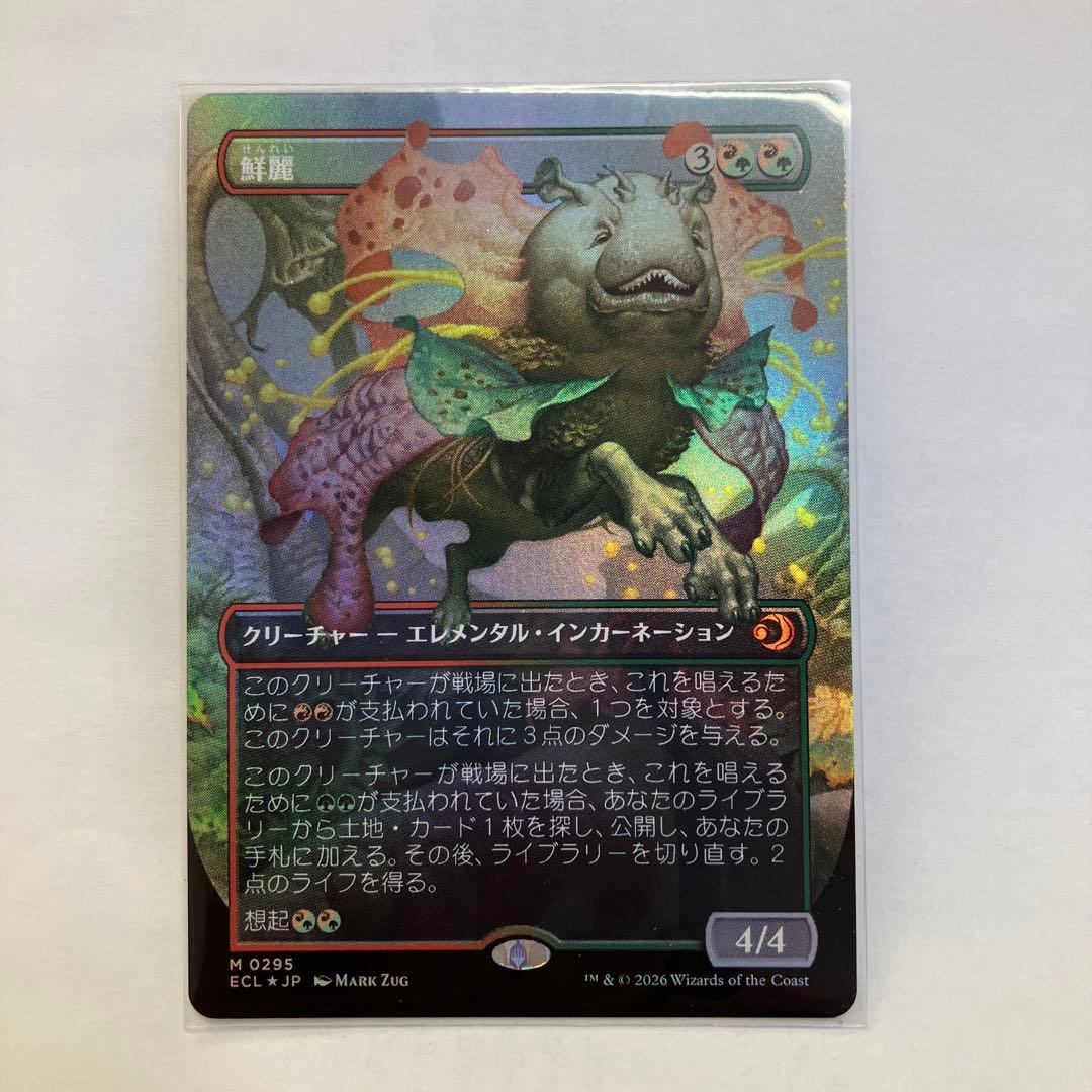 鮮麗　拡張　foil