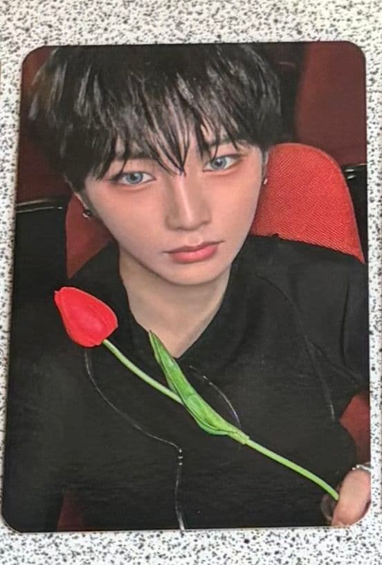 韓国　ALD1　人気歌謡　サノク　逆サポート　100日記念　アンシン　トレカ