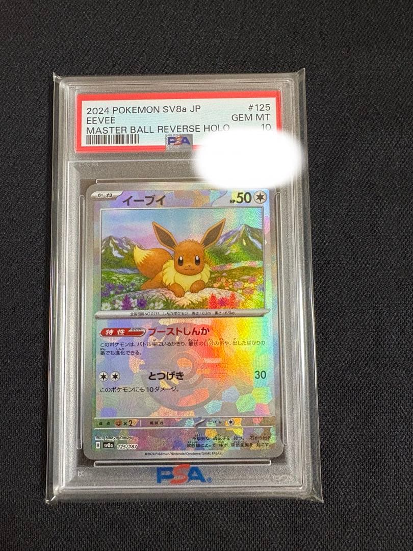 マスターボールミラー イーブイ