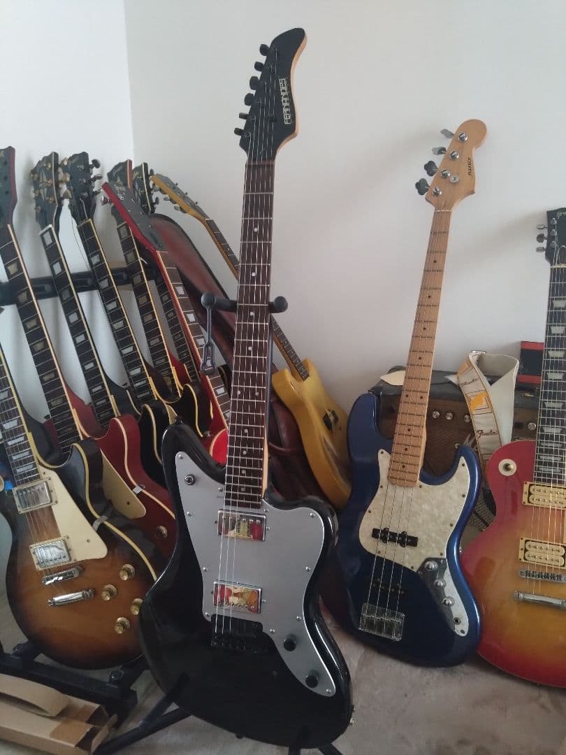 フェルナンデス JG-45　ソフトケースのオマケ付 フェルナンデス JG-45 ソフトケースのオマケ付 - メルカリ