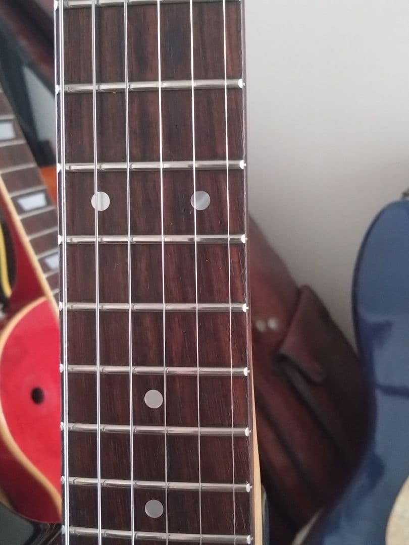 フェルナンデス JG-45 ソフトケースのオマケ付 - メルカリ