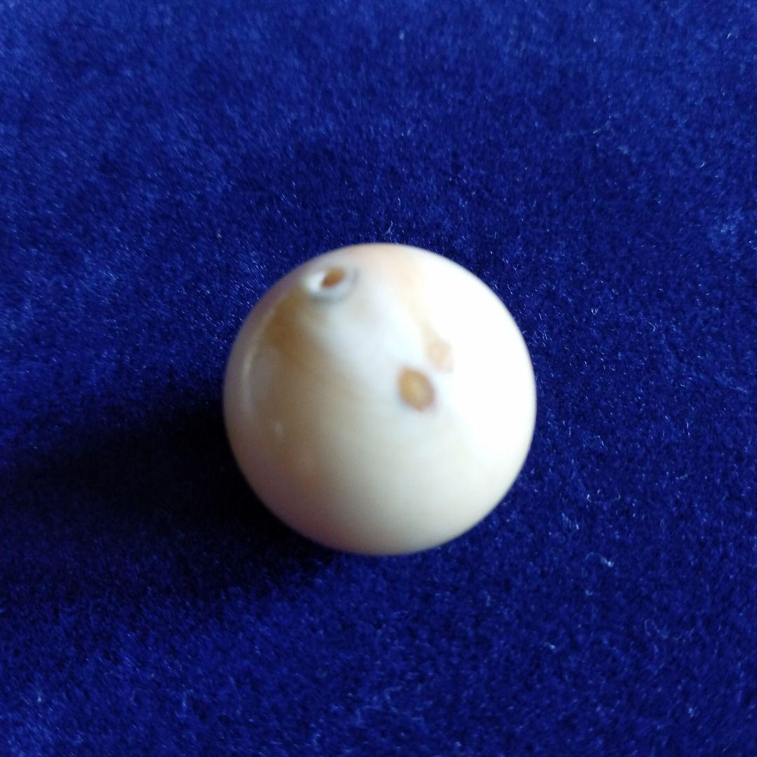 鯨歯　マッコウクジラ　牙玉　ルース　約19.5㎜　片穴