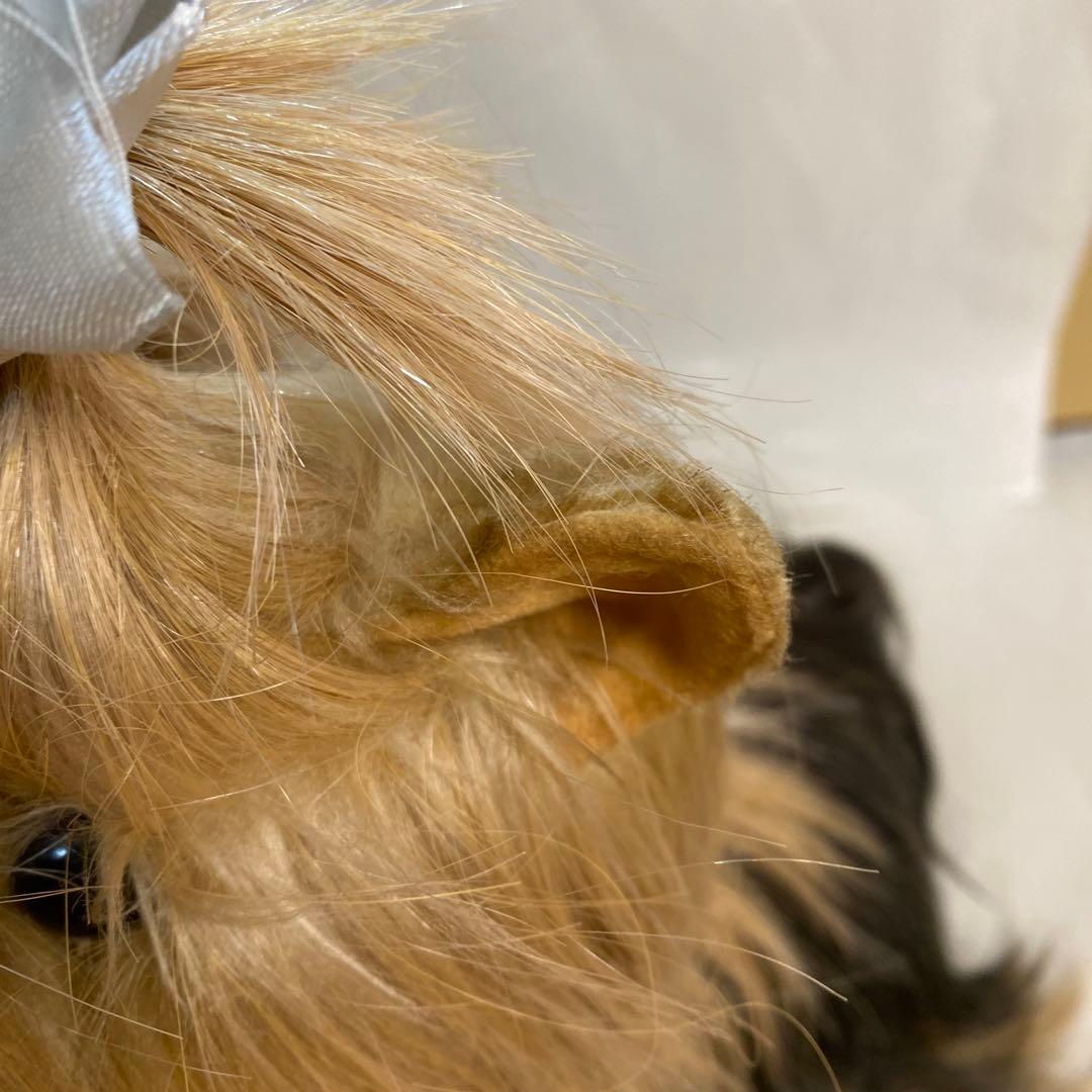 フォンテーヌ ドレッシーペット ヨークシャテリア - メルカリ