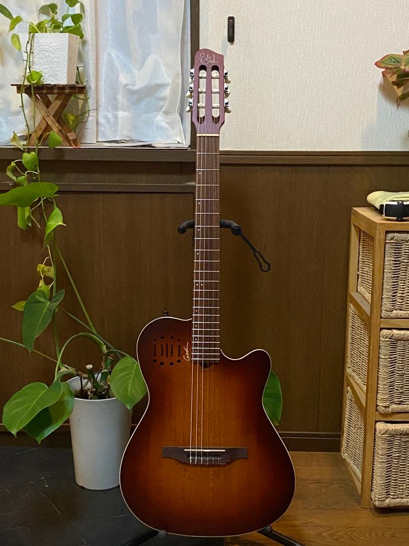Godin Multiac Nylon Encore 中古美品