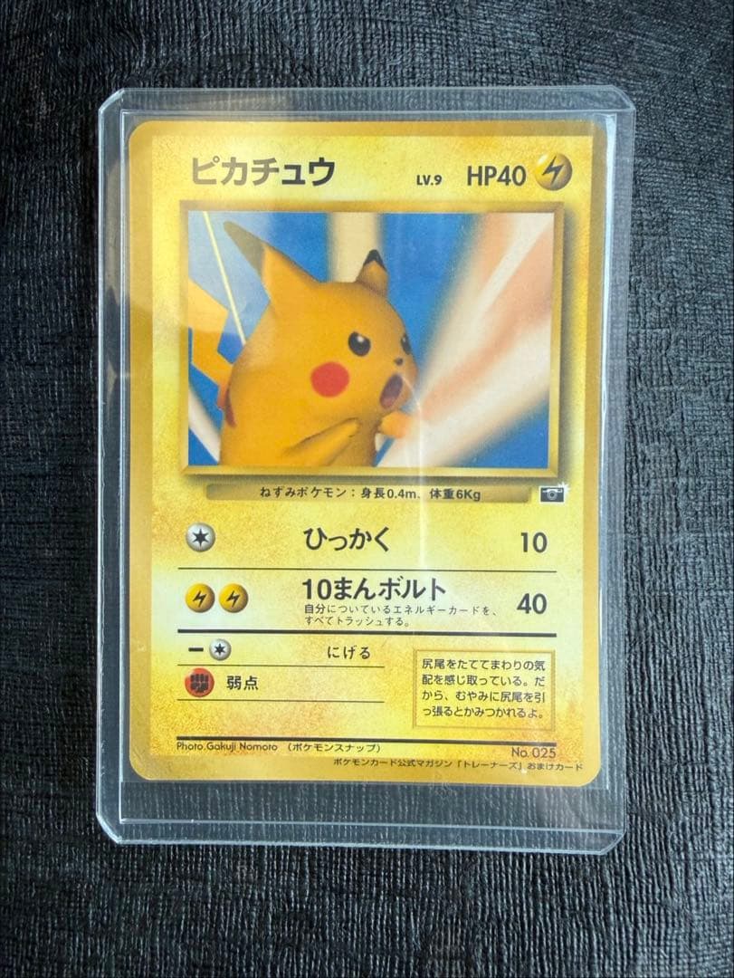 ポケモンスナップピカチュウ 本日売れなければ削除します