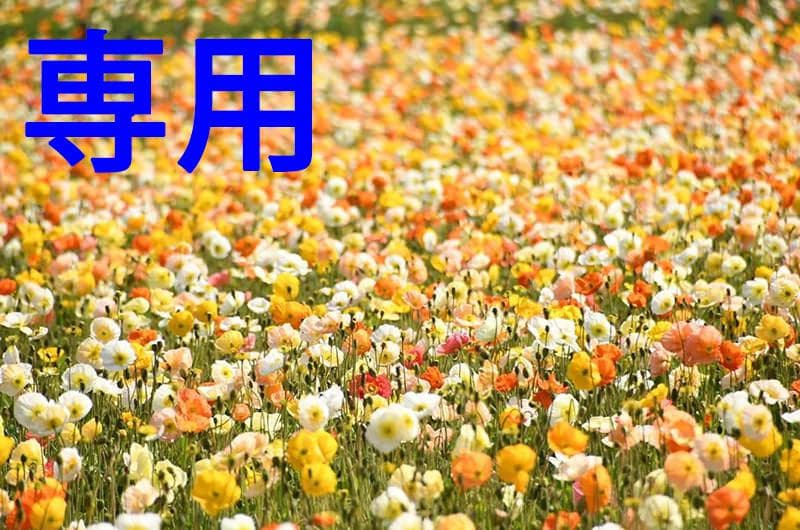 ☆ANOKOTATI☆さん専用