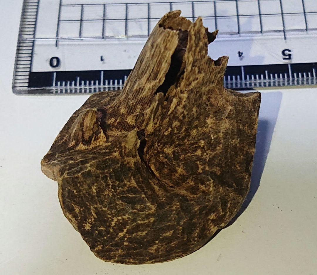 香木 沈香 伽羅 聞香◎ベトナム フエ産 涅槃