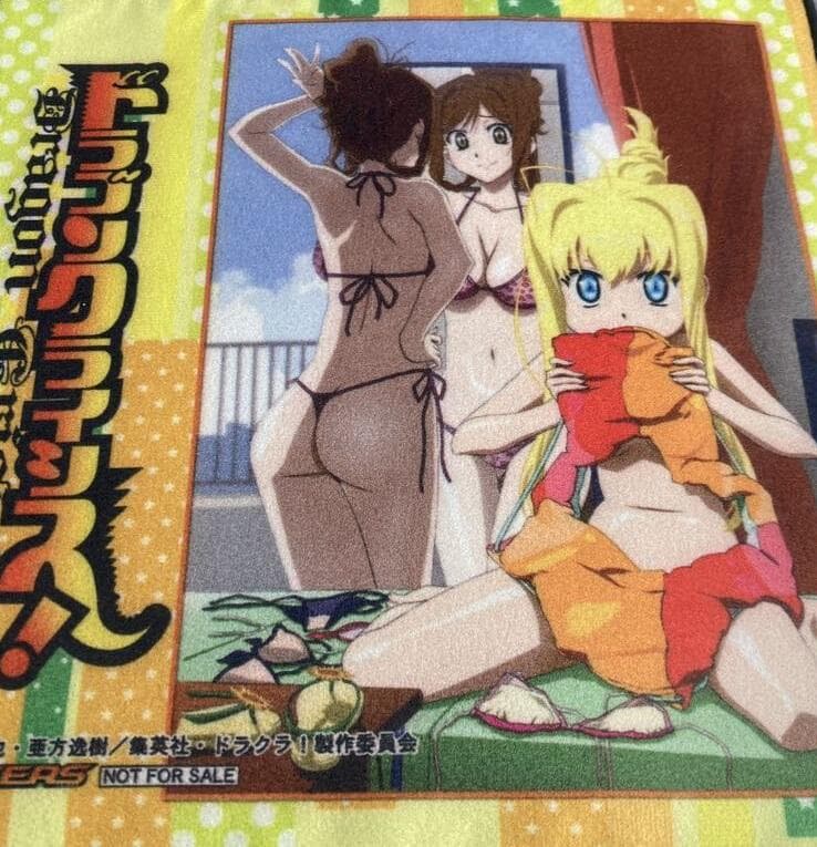 ドラゴンクライシス! ゲーマーズ 購入特典 描き下ろし マイクロファイバータオル