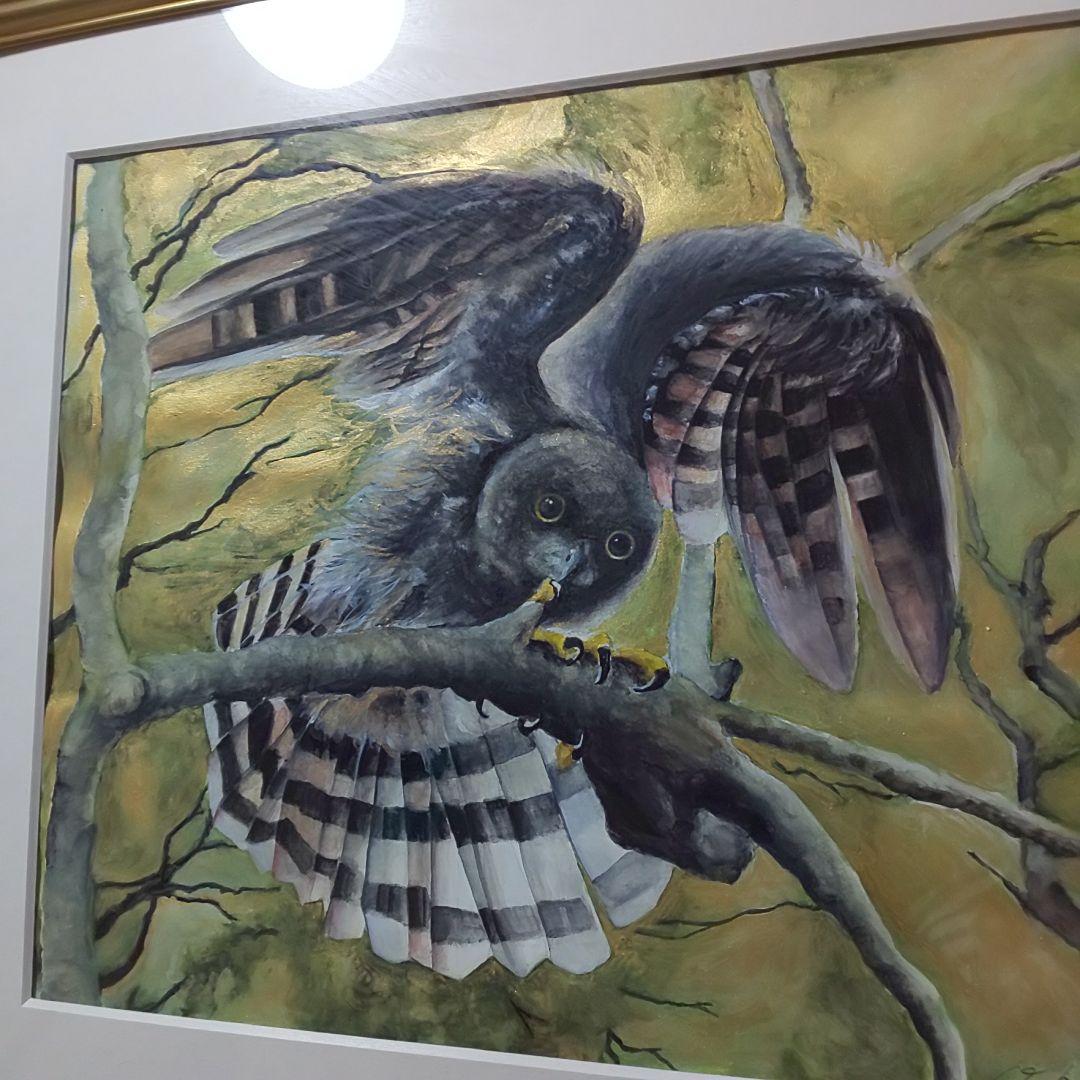 大幅値下げ手書き 水彩画 ハンドメイド 黄金ふくろう 梟