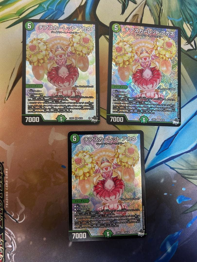 チアスカーレットアカネ　3枚セット
