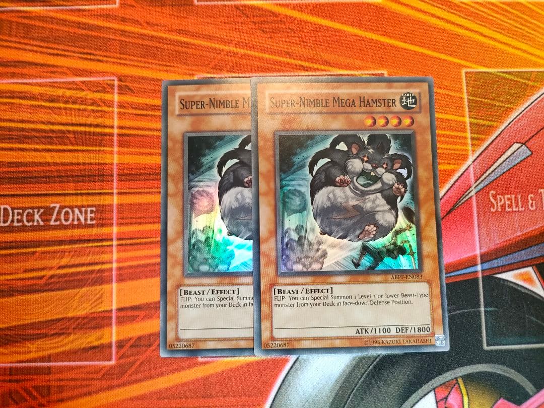 素早いビッグハムスター スーパー 英語 EU - メルカリ