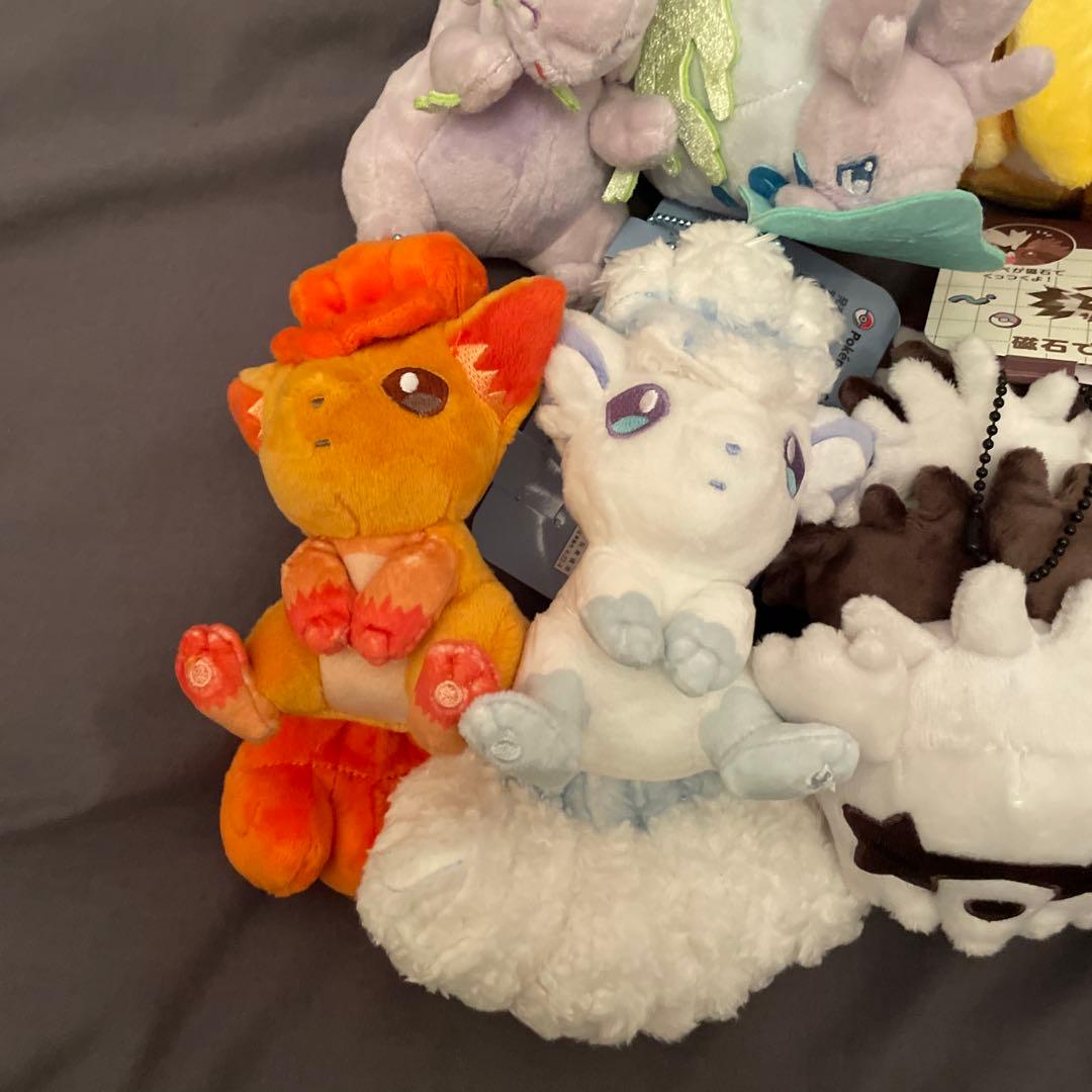 磁石でくっつくペアマスコット にたものどうし ポケモンセンター 6種