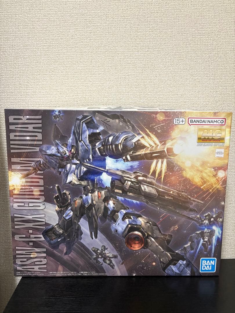 MG 1/100 ガンダムヴィダール