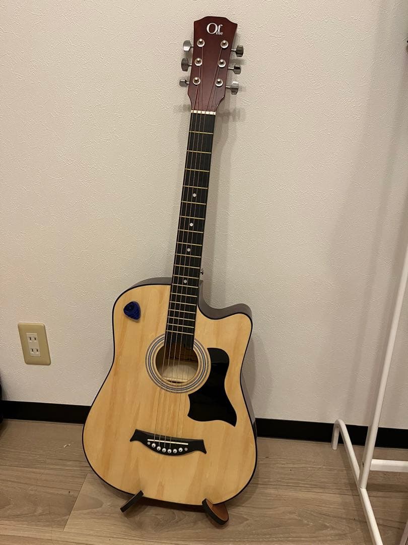 アコースティックギター　希少