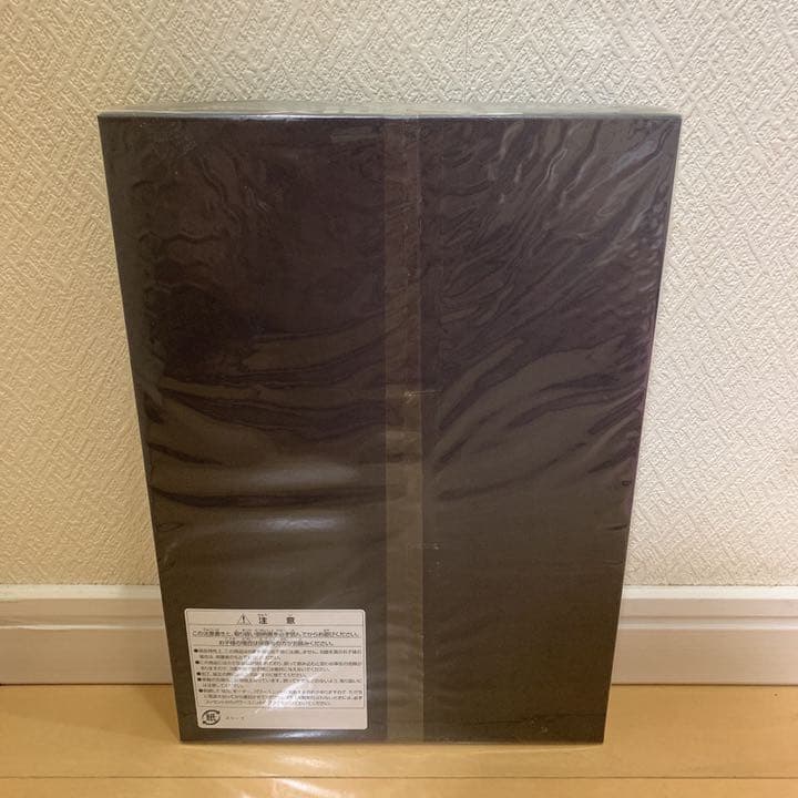 新品未開封】JR 485系特急電車（雷鳥・クロ481-2300）基本セットB