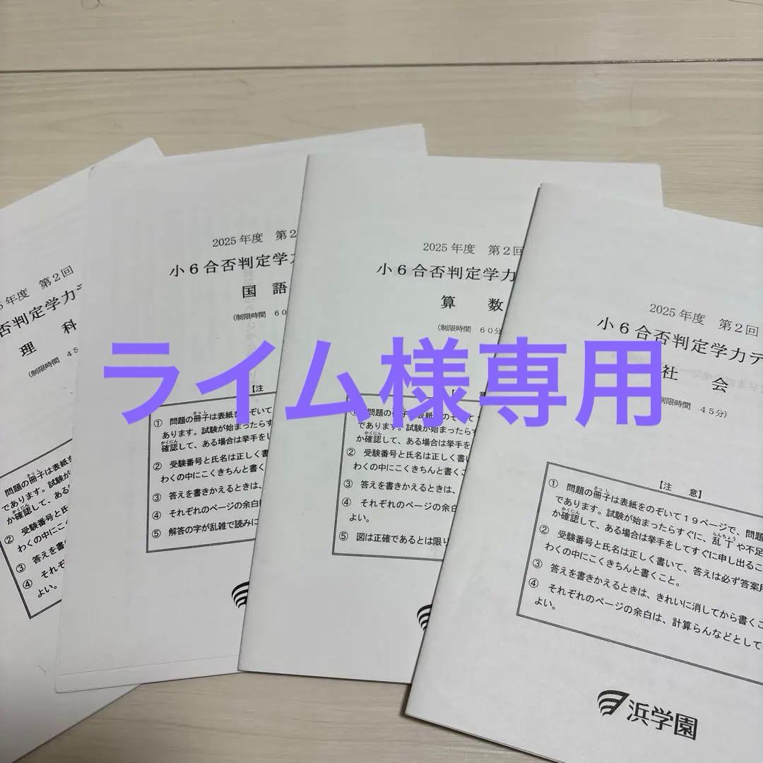 公開テスト4科　合否判定テスト4科　最新版小６　得点分布表付き　おまけ付き